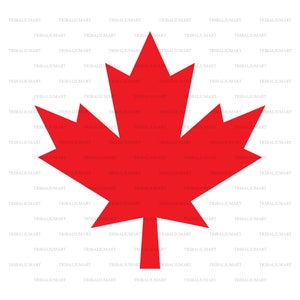 Foglia d'acero canadese. Tagliare i file per Cricut. Sagome ClipArt (eps, svg, pdf, png, dxf, jpeg).