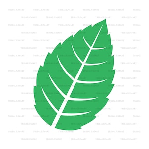 Folha de hortelã fresca. Cortar arquivos para Cricut. Silhueta de clipart (eps, svg, pdf, png, dxf, jpeg).