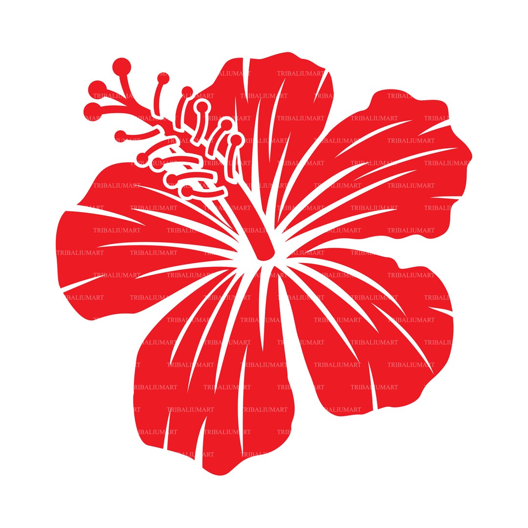 Hibiscus Flower. Cut Files for Cricut, Clip Art Silhouette (eps, Svg ...