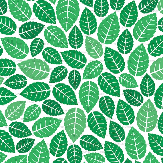 Fresh Mint Leaf Pattern Cut Files For Cricut Clip Art Etsy Fresh Mint Leaf Pattern Cut Files For Cricut Clip Art Etsy
