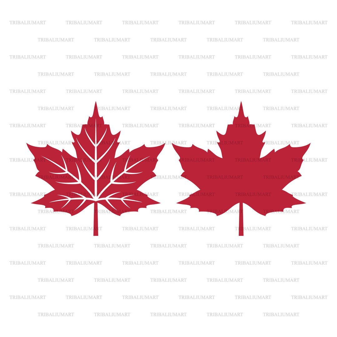 Maple Tree Cut Out File Maple Leaf. Cut Files for Cricut. Clip Art Silhouettes eps - Etsy Canada