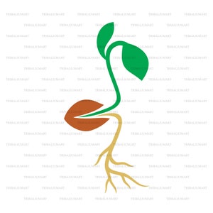 Semilla (diseño de cultivo de plantas). Cortar archivos para Cricut. Siluetas de Clip Art (eps, svg, pdf, png, dxf, jpeg).
