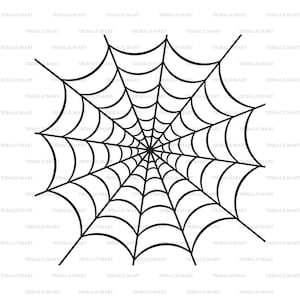 Op de afbeelding: Een zwart-witte illustratie van een spinnenweb. Het web is radiaal getekend met een centrale hub en stralende lijnen.