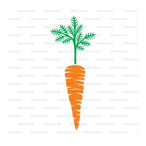 carotte. Couper des fichiers pour Cricut. Clip art silhouette (EPS, SVG, PDF, png, DXF, JPEG).