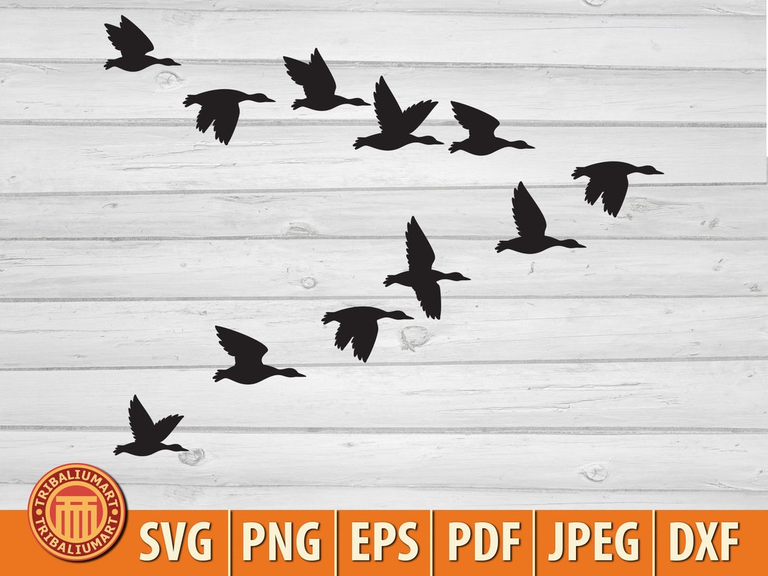 Por qué las aves migratorias vuelan tan lejos? | National Geographic |  National Geographic, image size:1080x810