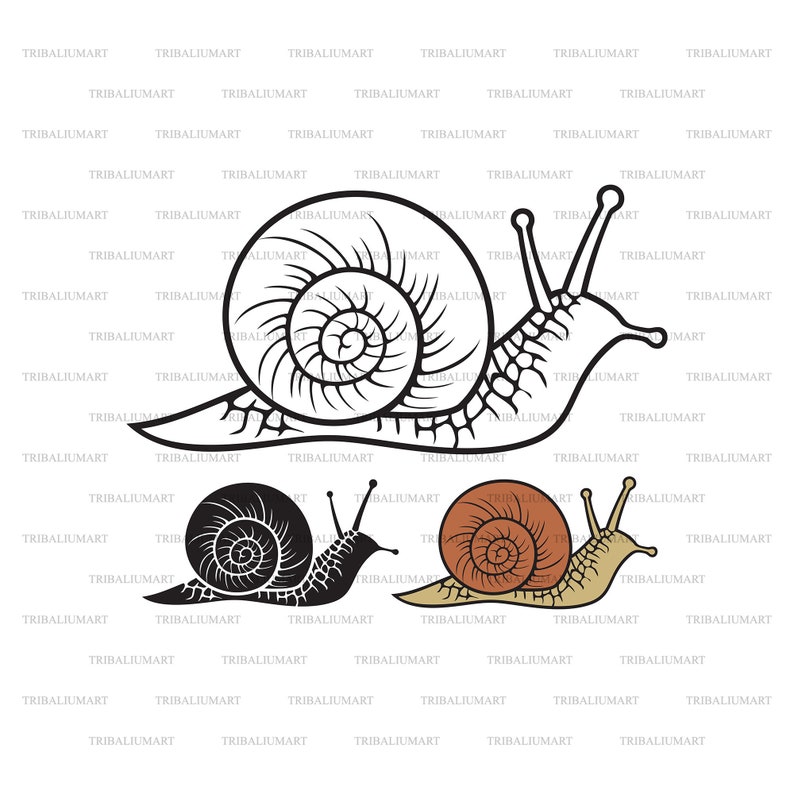Snail. Cut Files for Cricut. Clip Art Silhouette eps Svg - Etsy