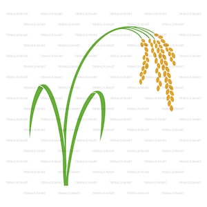 Pianta di riso. Taglia i file per Cricut. Sagome Clip Art (eps, svg, pdf, png, dxf, jpeg).