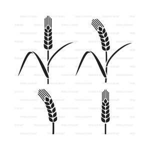 Conjunto de iconos de oreja de trigo. Cortar archivos para Cricut. Siluetas de Clip Art (eps, svg, pdf, png, dxf, jpeg).