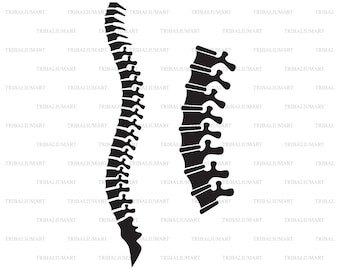 Human spine. Cut files for Cricut. Clip Art silhouettes (eps, svg, pdf, png, dxf, jpeg).