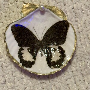 May include: A decorative seashell featuring a black and white butterfly design. The butterfly is centered on a white surface within the shell, with a gold-colored trim. A small pearl is affixed to the top of the shell.