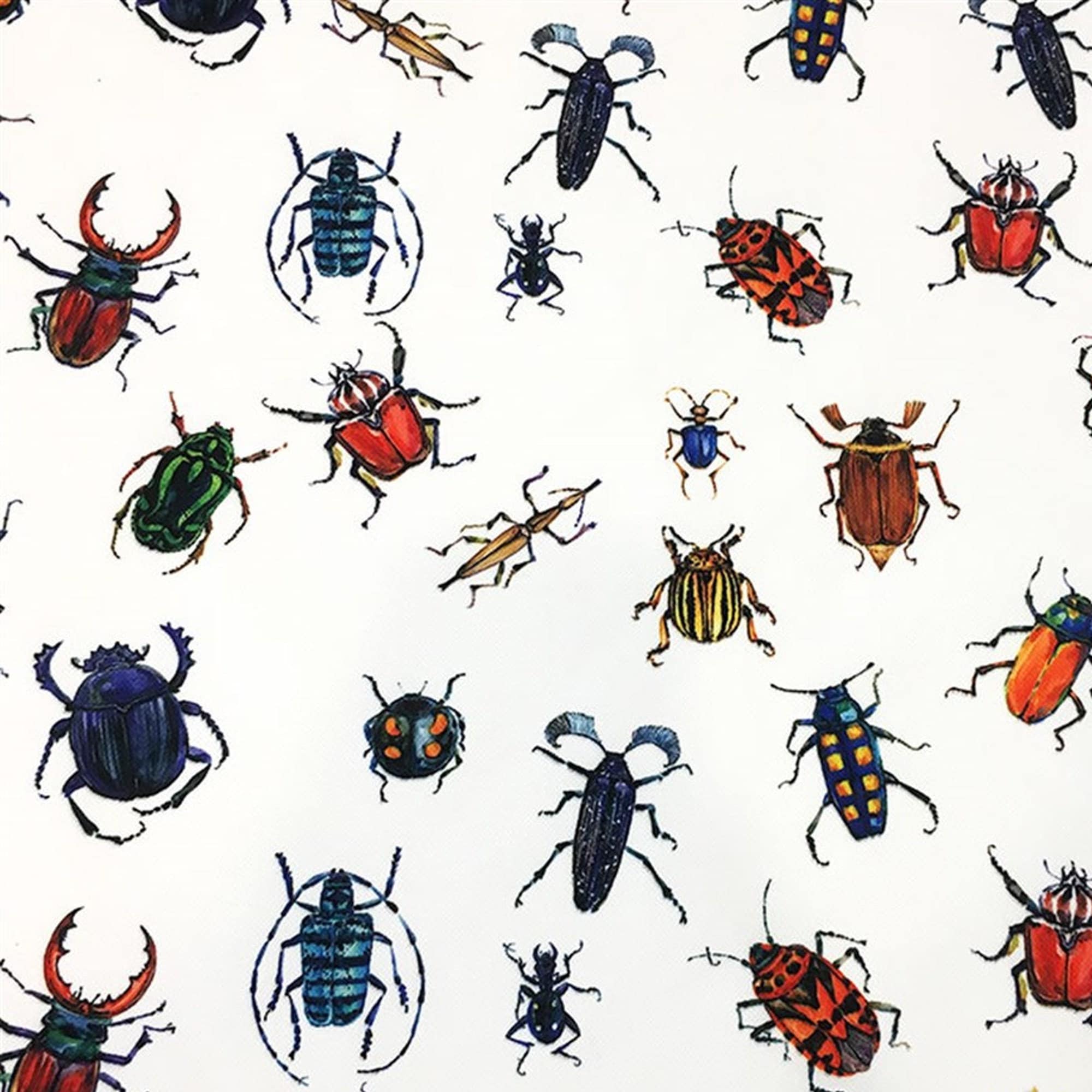 Insect Fabric, Firefly, Grasshopper, Ant Print Fabric, Upholstery, Bug ...