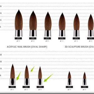 CRIMPED Professional Acrylic Nail Brush Synthetic Bristles for Acrylic Powder Application, Precision Nail Art Tool Nail Supplies image 2