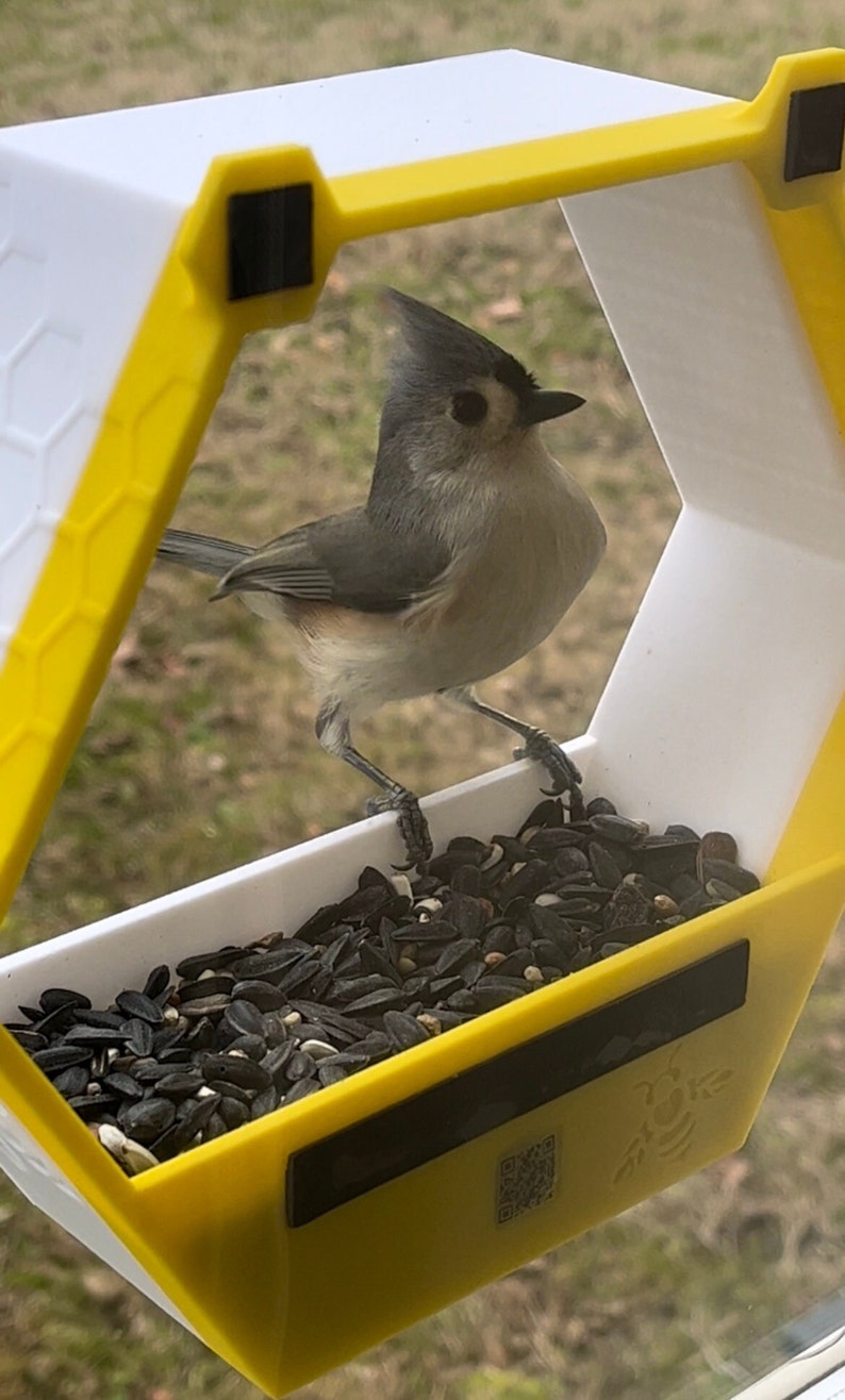 Window Bird Feeder House Honey Bee Design Etsy