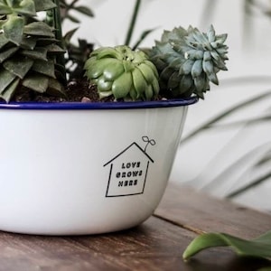 May include: White enamel planter with a blue rim, filled with succulents and a small green plant. The planter has the text "Love Grows Here" printed on the front.