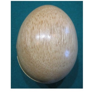 The Incredible EGG PUZZLE Brain Teaser Gift