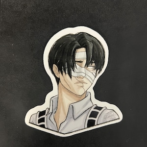 levi sticker