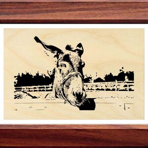May include: A black and white silhouette of a donkey looking over a wooden fence. The donkey has a halter on and is looking directly at the camera.