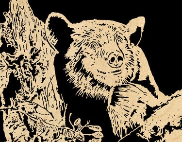 009mw Black Bear Scroll Saw Pattern pdf - Etsy