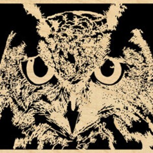 May include: Close-up of an owl illustration in shades of beige and black. The owl's large eyes and facial features are detailed, with a textured appearance. The background is black, and the image has a vintage aesthetic.