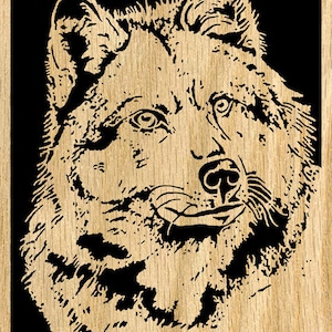 May include: A black and white close-up image of a wolf's face. The wolf is looking directly at the viewer with its mouth closed. The image is detailed and shows the wolf's fur, teeth, and eyes.