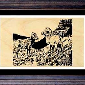 068mw - Mountain Sheep- Scroll Saw Pattern (pdf)