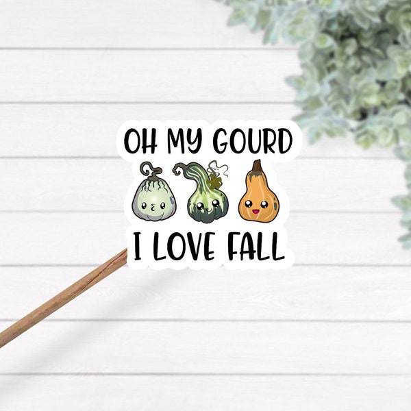 Oh my gourd I love fall sticker - fall sticker - gourd sticker - funny fall sticker - waterproof vinyl sticker - oh my gourd decal