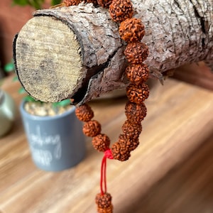Rudraksha Armband Handgelenk Mala 8 mm | Shiva Japa Mala | Handarbeit aus Nepal | Ideal als Geschenk