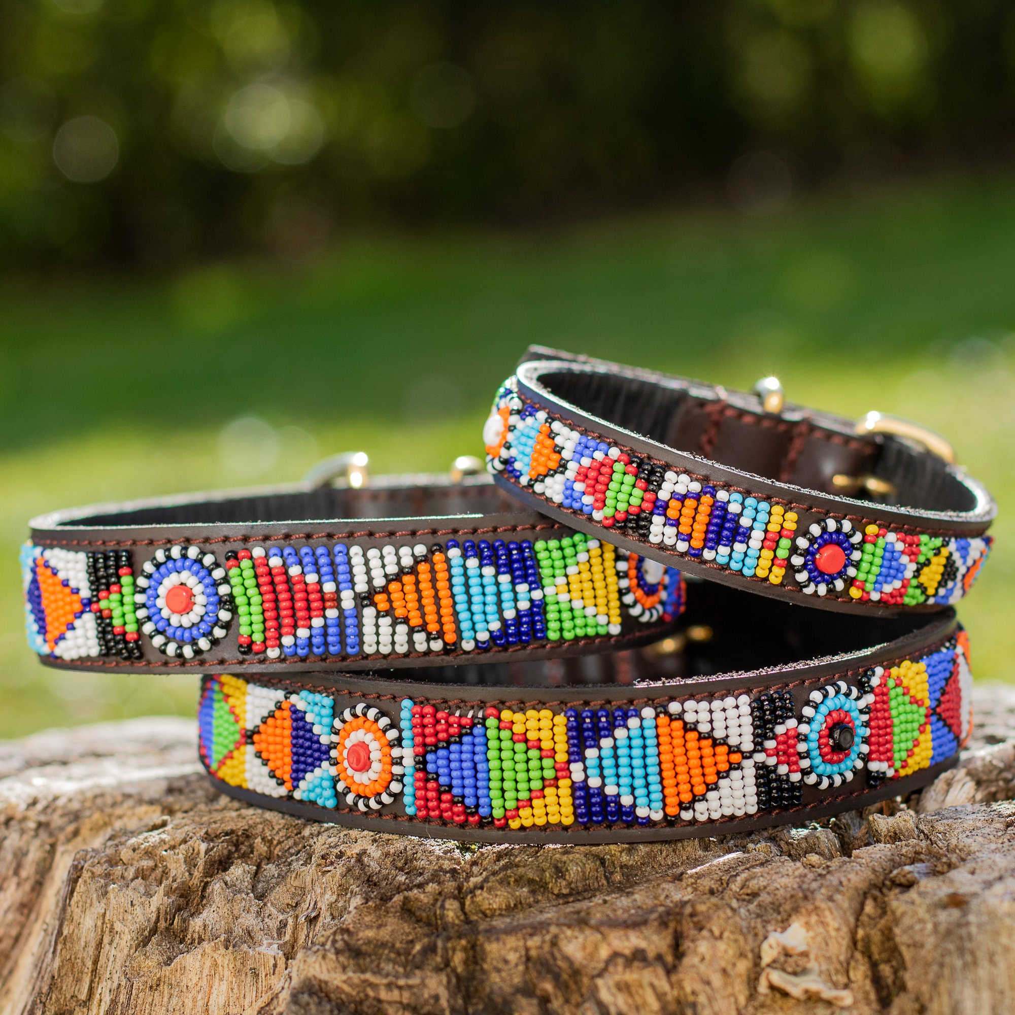 Collier Chien Massaï Taille - Dog Collar Maasaï Botswana Tissage Ethnique Collier Africain Multicolo