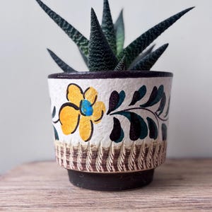 Puede incluir: Pequeña maceta de cerámica con un diseño de flor amarilla y una planta suculenta verde oscuro. La maceta tiene una base blanca con un borde marrón y una base marrón texturizada. La suculenta tiene hojas puntiagudas de color verde oscuro.