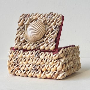 May include: A rectangular box with a hinged lid, entirely covered in small, tan and brown spiral seashells. A larger, fan-shaped, cream-coloured scallop shell is centred on the lid. The base structure of the box is a deep, dark red colour.