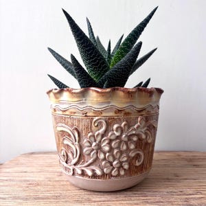 Puede incluir: Una planta suculenta en maceta con hojas puntiagudas de color verde oscuro. La maceta de cerámica marrón presenta un diseño floral en relieve y un borde festoneado. La maceta está sobre una superficie de madera.