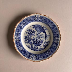 Blue & White Bird Plate Antique – English Transferware Aquila, Vintage Wall Plate Decor