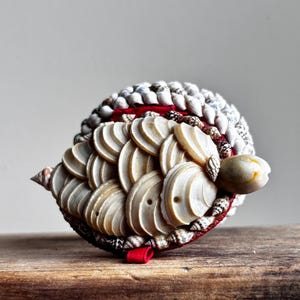 Könnte beinhalten: Eine dekorative Schildkrötenfigur aus verschiedenen Muscheln. Der Panzer besteht aus überlappenden, hellen, kreisförmigen Muschelschalen, während der Kopf aus einer glatten, abgerundeten Muschel geformt ist. Die Basis ist mit kleinen, spitzen weißen Muscheln verziert.