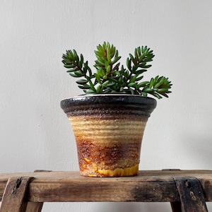 May include: A small, ceramic planter with a textured, layered design in shades of brown, tan, and yellow. The rim is dark brown. The planter holds a green succulent with red-tipped leaves. The planter sits on a wooden surface.