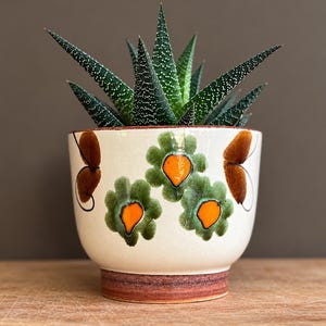 Puede incluir: Una maceta de cerámica de color crema con base cónica y un borde marrón rojizo en la parte inferior. El exterior presenta motivos florales pintados a mano en verde y naranja y formas marrones similares a mariposas. Una planta suculenta verde y puntiaguda se encuentra en su interior.