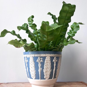 Jardinière vintage bleue et blanche Dialene : style Wedgwood, fabriquée en Angleterre