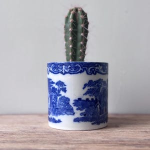 Peut inclure: Un petit cactus vert dans un pot en céramique bleu et blanc. Le pot présente un motif paysager détaillé. Le pot cylindrique repose sur une surface en bois. Le cactus a des épines pointues.