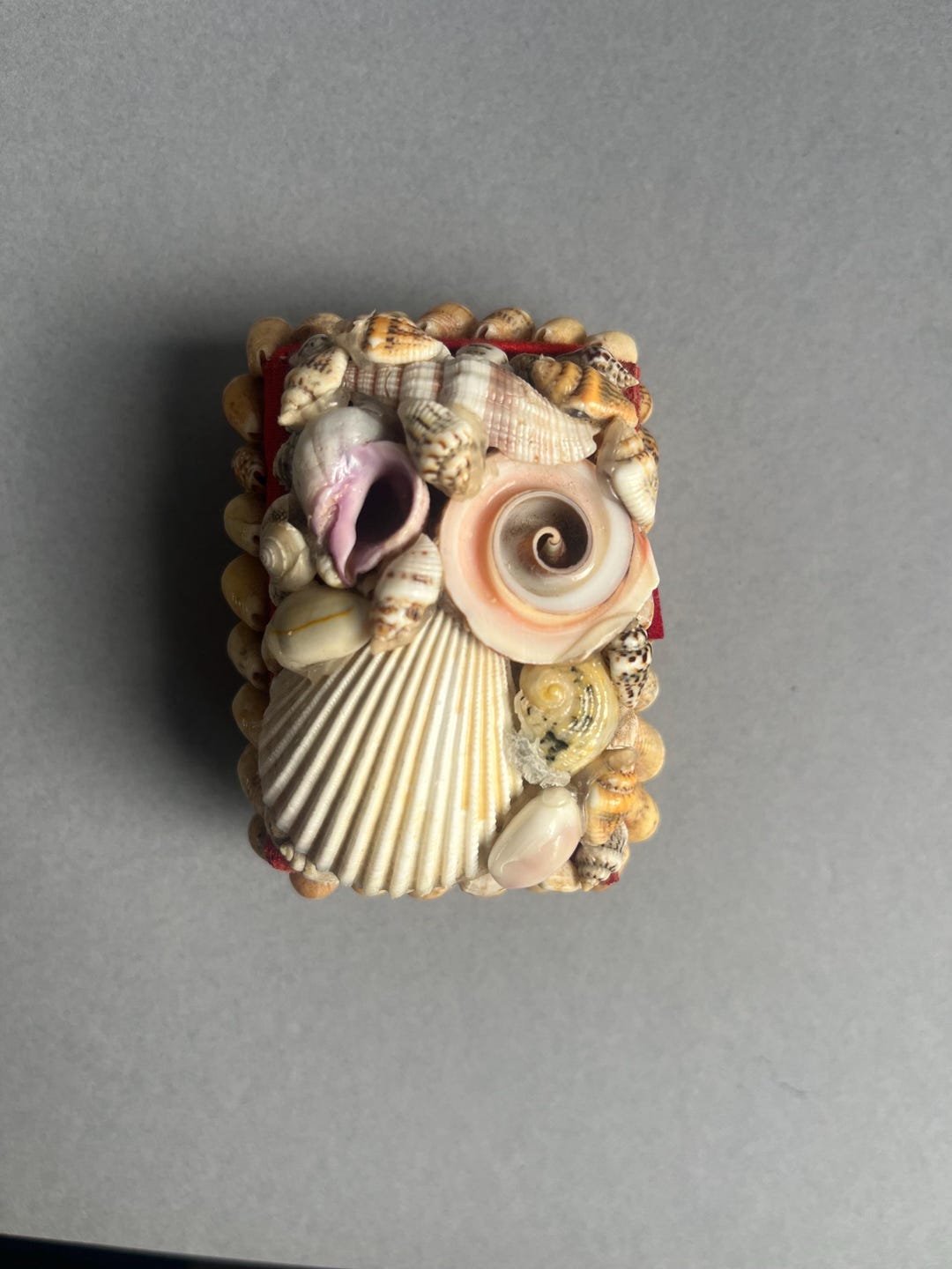 Witchery Shell Shell Covered Trinket Box.jewellery Box. Keepsake Box.seashell Inspired ...