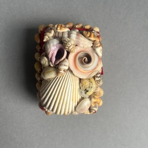 May include: A rectangular box decorated with a variety of seashells. A large, cream-coloured fan shell and a spiral shell are prominent. The edges are lined with smaller shells, and a red ribbon is visible.