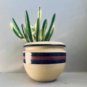 May include: A small, cream-coloured ceramic pot with a blue and red stripe design, holding a green succulent plant. The pot has a rounded shape and a dark blue rim. The plant has long, slender green leaves.