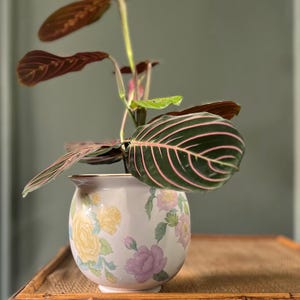 May include: A houseplant with green and red striped leaves in a white ceramic pot with a floral pattern. The pot is sitting on a brown bamboo table.