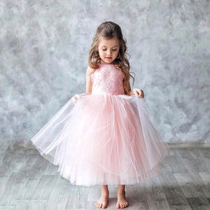 Blush Tulle Flower Girl Dress: Lace Junior Bridesmaid Dress