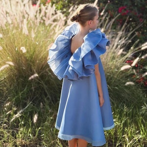 dusty blue junior dress Wedtrend Women Dusty Blue Wrap Short Junior Bridesmaid Dress with Flutter Sleeves Chiffon V Neck Ruffle Tea-Length Wedding Guest Dress, Chiffon color