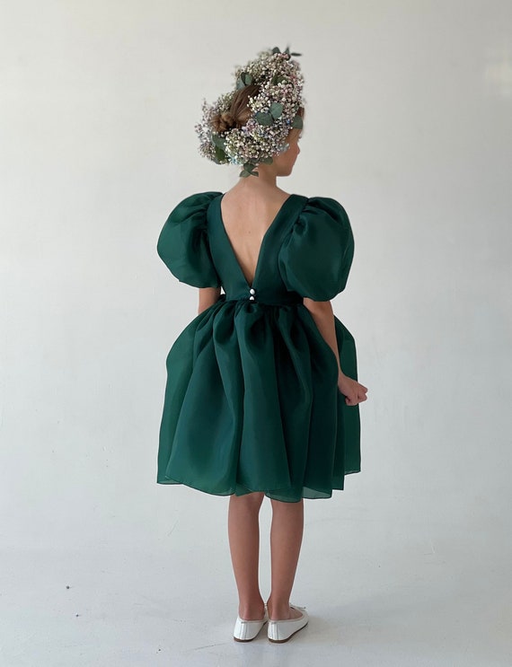 slim fit dress slacks Wedding wear Amazing Pista Green Color Printed Organza Silk  Gown-manmohitfashion.com main image 0