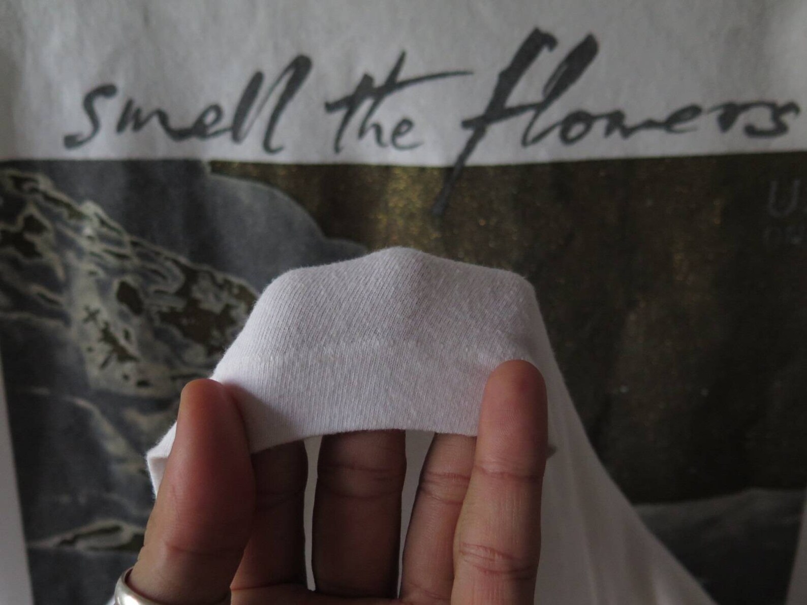 Vintage U2 Smell the Flowers While You Can T Shirt Vintage U2 Band T