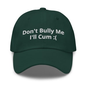 Don't Bully Me Hat, gestickte Meme Mütze, Gothic Hut, Emo Mütze, Unisex Bullys Classic Hat
