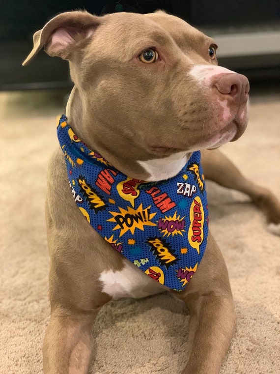 superhero dog bandana