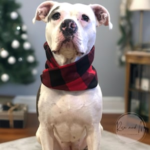 May include: A white and black dog wearing a red and black buffalo plaid scarf. The dog is looking directly at the camera. The dog has a black nose and floppy ears. The scarf is wrapped around the dog's neck. The dog is sitting down.