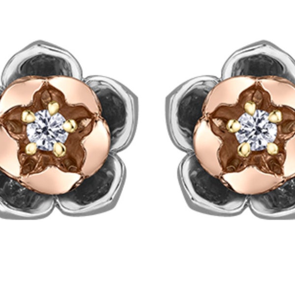 14K Tri-Color Gold 0,04cttw Nunavut Lila Saxifrage Blume Diamant Ohrstecker