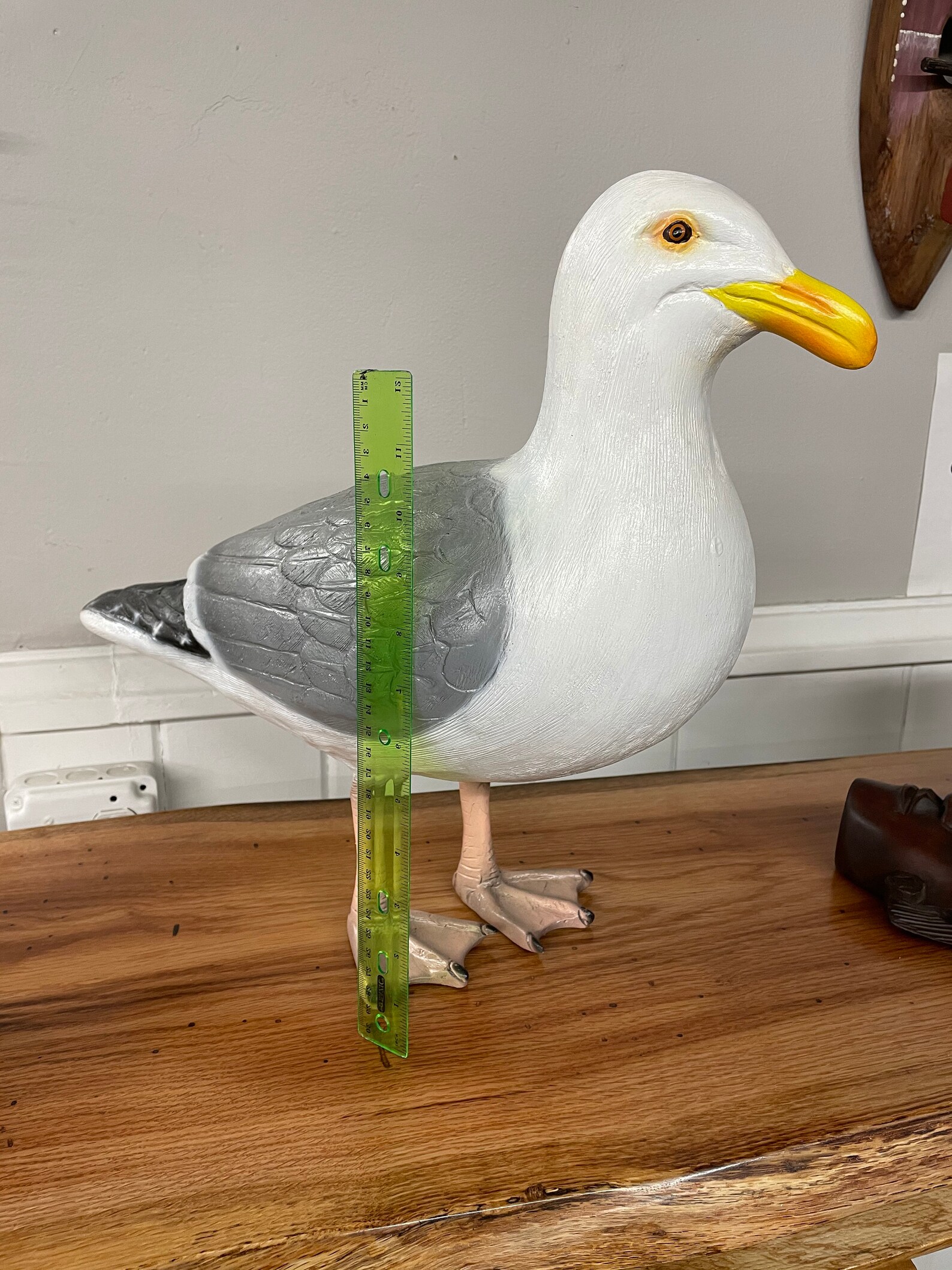 Seagull statue life size large. Etsy